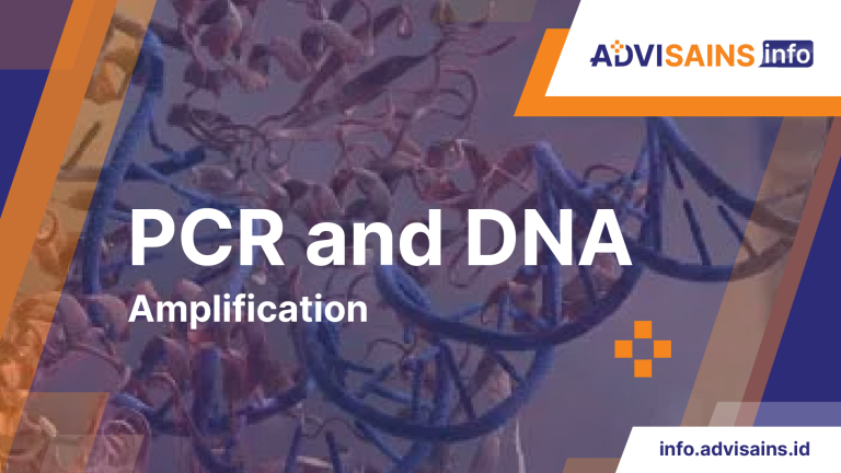 PCR Dan Amplifikasi DNA Info Advisains